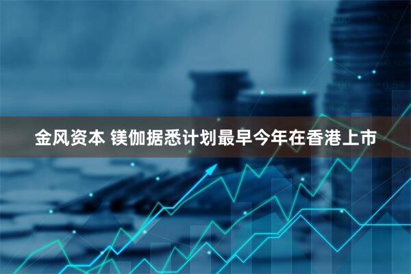 金风资本 镁伽据悉计划最早今年在香港上市