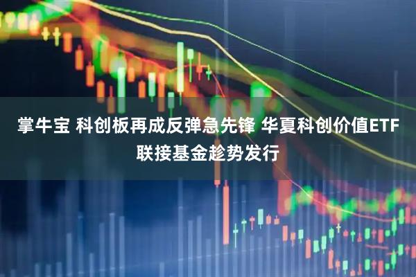 掌牛宝 科创板再成反弹急先锋 华夏科创价值ETF联接基金趁势发行
